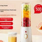 Automatic Fresh Juicer