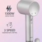 DENX Hot &amp; Cold Hair Dryer